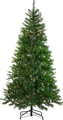 Northlight 7' Pre-Lit Vail Spruce Medium Artificial Christmas Tree - Clear Lights