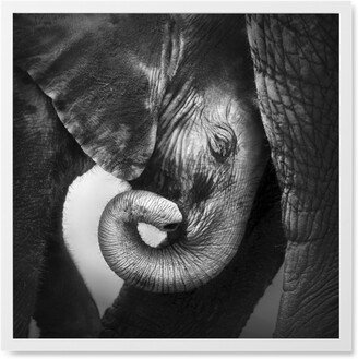 Photo Tiles: Baby Elephant With Mother Photo Tile, White, Framed, 8X8, Gray