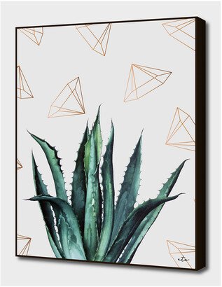 Agave Geometry