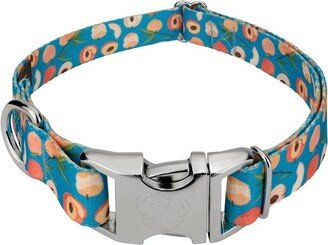 Country Brook Petz Premium Peaches Dog Collar (1 Inch, Large)