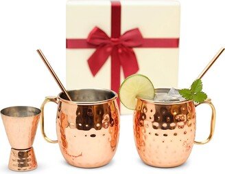 Stainless Steel Lined Copper Moscow Mule Cups Set Of 2 | 18Oz with Straws, 1 Jigger, Spoon & Brush | Wedding, Anniversary Gift