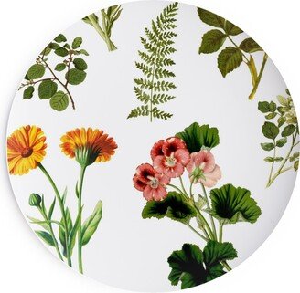 Salad Plates: Lil Botanicals - White Salad Plate, Green