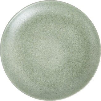 Terra charger plate-AA