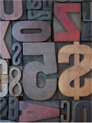 Holli Conger Typography Photography 8 Canvas Art - 27 x 33.5