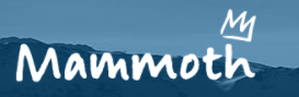 Mammoth Mountain Promo Codes & Coupons