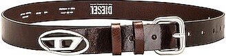 1DR Belt in Brown