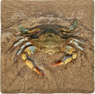 st. Mary's County, Maryland Blue Crab Coaster Set Bla2 Title 4.25 X