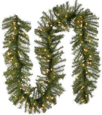 National Tree Company Pre-Lit Artificial Christmas Garland, Green, Norwood Fir, White Lights, Plug In, Christmas Collection, 9 Feet