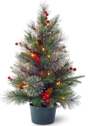 National Tree Company 2' Feel Real Colonial Wrapped Tree w Berries, Cones & Warm White Lights w/ Timer