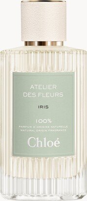 Atelier des Fleurs Iris-AA