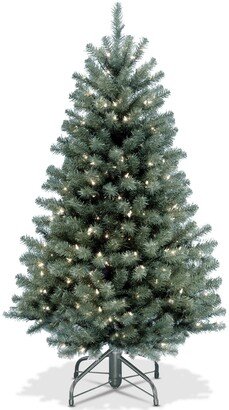 National Tree Company 4.5' North Valley Blue Spruce Tree With 300 Clear Lights