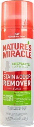 Nature's Miracle Cat Stain & Odor Aerosol - 17.5oz