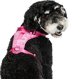 Canada Pooch Barbie Logo Dog Harness, Size Small