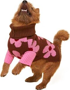 Little Beast Abk Always Be Kind Sweater for Dogs