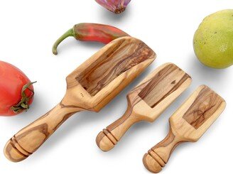 Wood Scoop Set/Wooden Measuring Coffee Salt Spice Small Set Kitchen Storage Utensils, Christmas Gift, Gift 2023