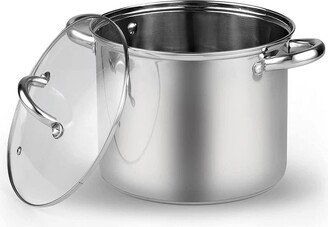 Basics Stainless Steel Stockpot With Lid 12-Qt