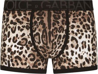 Leopard-print two-way stretch cotton boxers