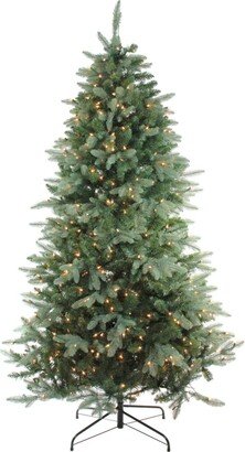 Northlight 6.5' Pre-Lit Washington Frasier Fir Full Artificial Christmas Tree - Clear Lights