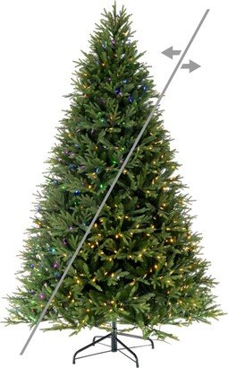 Tiffany Fraser Fir Artificial Christmas Tree, Led Color Changing Mini Lights, 9' x 67