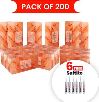 Himalayan Salt Bricks Pack Of 200 With 6 Free Saltite