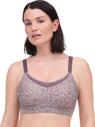 Everyday Sport Eco Comfort Low Impact (Taupe Leopard) Women's Lingerie