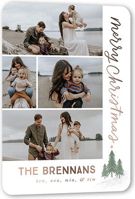 Holiday Cards: Family Of Trees Holiday Card, Rose Gold Foil, White, 5X7, Christmas, Matte, Personalized Foil Cardstock, Rounded