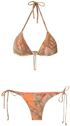 Printed Triangle Bikini Set