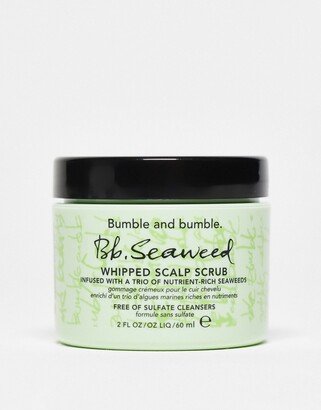 Seaweed Scalp Scrub Travel Size 60ml