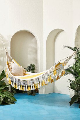 Saratoga Hammock