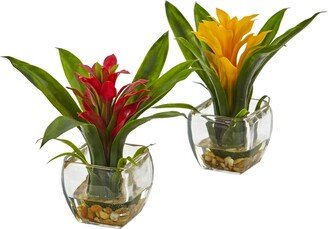 2-Pc. Bromeliad Set with Glass Vases - Red/yellow