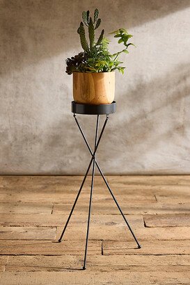 Tripod Iron Plant Stand