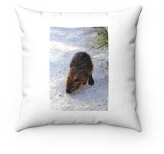 European Beaver Pillow - Throw Custom Cover Gift Idea Room Decor