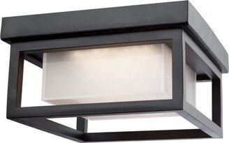 Overbrook Outdoor Ceiling Light