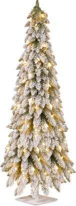 National Tree 60 Inch Snowy Downswept Forestree with 200 Clear Lights on a Metal Plate Stand (FTDF1-60ALO)