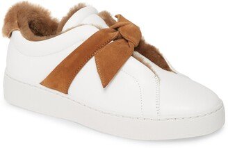 Clarita Bow Genuine Shearling Lined Sneaker