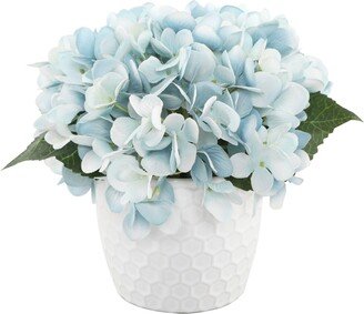 Hydrangeas in 4.75