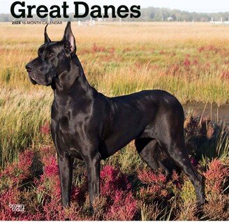 Browntrout 2024 Wall Calendar 12x12 Great Danes