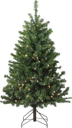 Northlight 4' Pre-Lit Led Canadian Pine Artificial Christmas Tree - Clear Lights