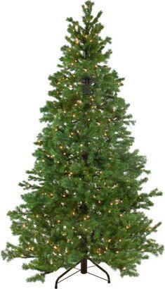 Northlight 6.5' Pre-Lit Pine Artificial Christmas Tree - Clear Lights