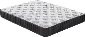 Pal 11 Inch Full Size Foam Mattress, Pocket Coils, Tight Soft Top Cover