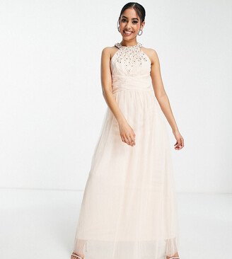 Little Mistress Petite Bridesmaid embellished maxi dress in blush