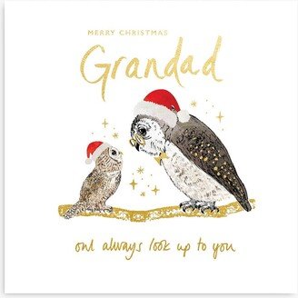 Woodmansterne Owls Grandad Christmas Card