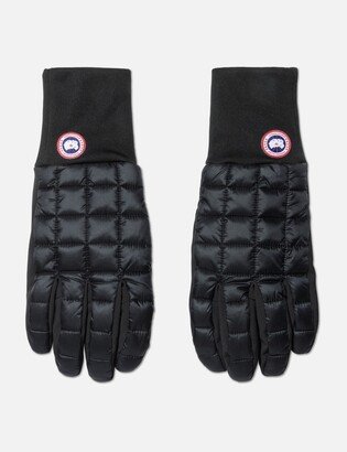 Northern Liner Glove