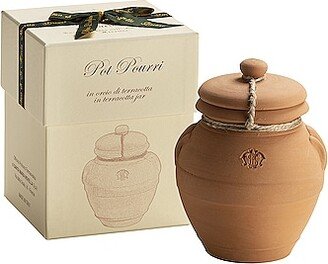 Pot Pourri In Terracotta Jar in Beauty: NA