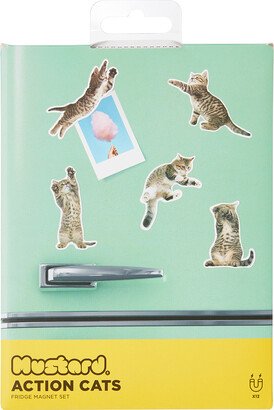 Mustard Action Cats Magnets Assorted Pkg/12