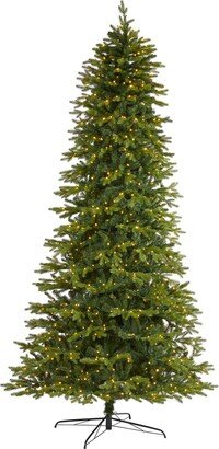 10ft. Belgium Fir “Natural Look” Artificial Christmas Tree with 1050 Clear LED Lights