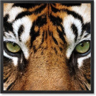 Photo Tiles: Eye Of The Tiger Photo Tile, Black, Framed, 8X8, Orange