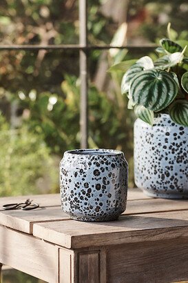 Terrain,4 needs inches mark ind isplay name Spotty Ceramic Planter, 4