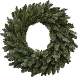 Northlight Blue Spruce Artificial Christmas Wreath 24-Inch Unlit