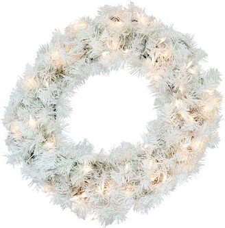 Sunnydaze Decor Sunnydaze Indoor/Outdoor Artificial Pre-Lit Christmas Holiday Wreath with Warm White LED Lights - 24 - White